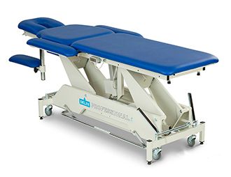 Delta Professional Treatment Table