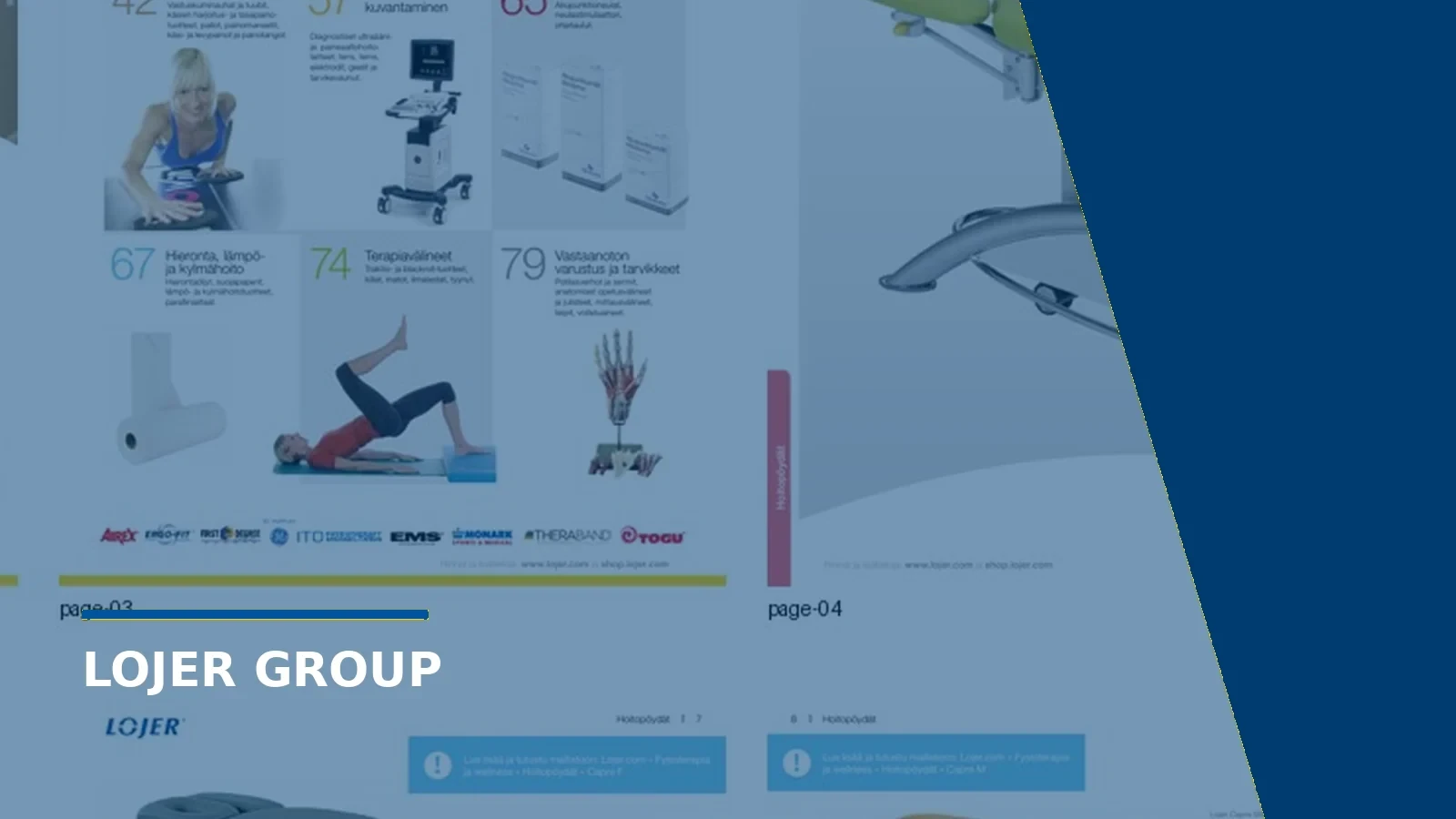 Lojer lojer group visual